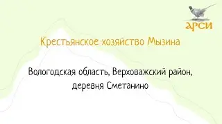 Крестьянское хозяйство Мызина, деревня Сметанино, Вологодская область