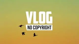 Sunbalt - Feel Me (Vlog No Copyright Music)