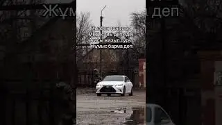 RBN 👋⚡️тіркеліп қолдап кетші ✊🏻 #мвд #полиция #102