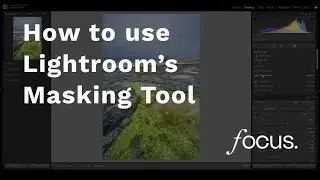 A beginner's guide to using Lightroom's Masking tool