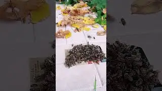 Советская столовка. Да, да!