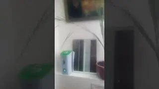 Увлажнитель . 24 мая. 39 тепла