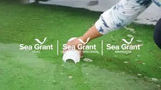 What Drives Harmful Algal Blooms in the Great Lakes? | Ohio Sea Grant Research
