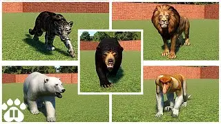 Every Animal in Planet Zoo! | ALL 103 ANIMALS! | Males + Females! |