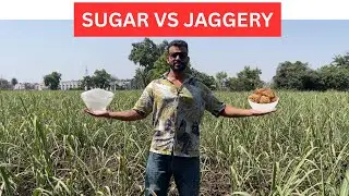 सुगर खाना कितना नुकसानदायक है हमारे शरीर के लिए (Is sweet good for our body?)