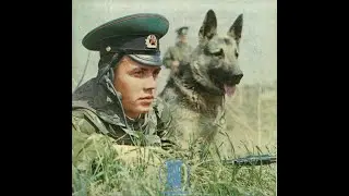 С днём пограничника!