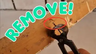 How to remove nails from architrave without damage