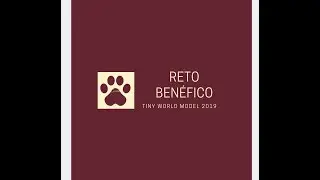 Reto Benéfico- Tiny model Angelica