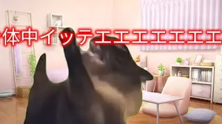【猫ミーム】初めてコロナになった話 #vtuber #猫ミーム #猫meme