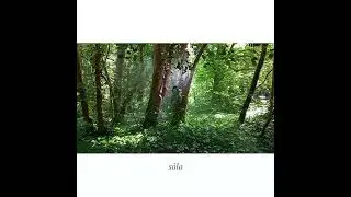 #juanjrecita #versos en la #naturaleza 💚 de su #libro #alfilesdelaesperanza