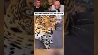 Забрали кошку от бабушки 😹