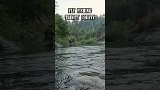 Fly Fishing for Trout in Beautiful Trinity County #shorts #fishing #fish