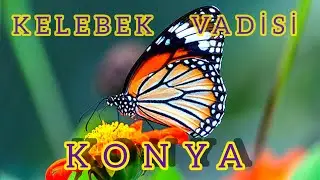 K O N Y A. TUROPİKAL KELEBEK VADİSİ..