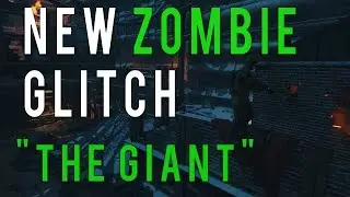 BO3 Zombie Glitches 