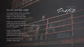 bunun adı aşk değil - berk demir (partal)