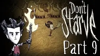 Don't Starve- Prepare for the ice age!! Ep. 9