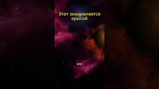 самая большая крыса среди знаков зодиака 