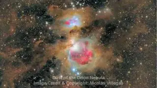 Dust of the Orion Nebula