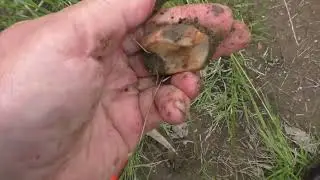 ПЕРЕЛИВТ PERELIVT