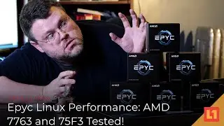 Epyc Linux Performance: AMD 7763 and 75F3 Tested!