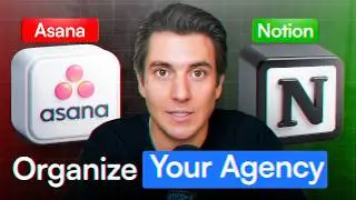 Notion vs Asana: Which Tool Is Right For Your Agency?