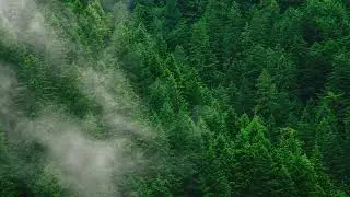 Chopin - Ballade No. 4 slowed down + reverb