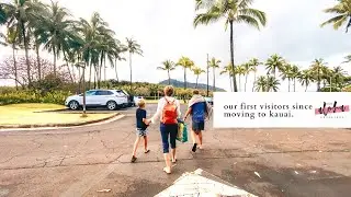 hawaii lifestyle vlog - taking our family around the island