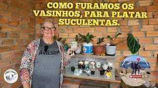 como furar vasos para plantar suculentas, como plantar suculentas #suculentas #plantas