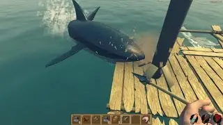 Raft, Выживание #1