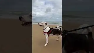 Jack at Omaha Beach