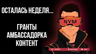 NYM: EZ MONEY ЗА НЕДЕЛЮ