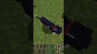 Why You Need A Cat in Minecraft