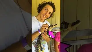 I GOT A PET CROCODILE?! (Guess The Photo) #shorts