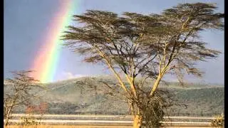 Message of the rainbows