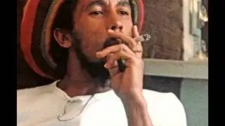 Bob Marley -- Roots, Rock, Reggae