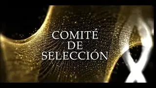 COMITE DE EVALUACIÓN Y SELECCIÓN PREMIOS MAYA INTERNACIONAL 2024