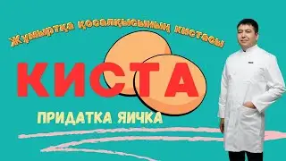Жұмыртқа қосалқысының кистасы.Киста придатка яичка причины, симптомы.
