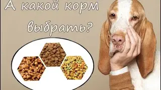 Нужно ли подбирать корм?