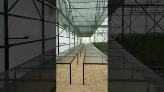 Столы для рассады 