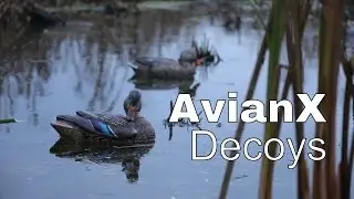 AvianX Decoy Review
