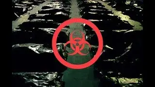 What would happen in a global pandemic?