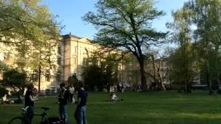 Принятие себя и игра на скрипке в женевском парке.