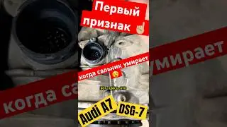 🇩🇪 Audi A7 замена 2-х стороннего сальника 0B5 DSG-7 за день 