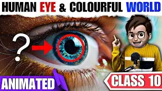 Human Eye And Colourful World class10🔥 / Animated / Defects of Vision & Correction / Ncert Chapter11