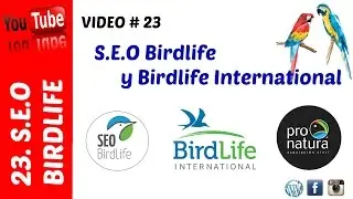 SEO Birdlife