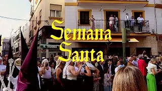 Semana Santa Sevilla | Domingo de Ramos