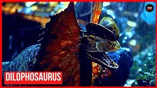 JURACK PARK MENTIU PARA NOS | ELE NÃO ERA ERA VENENOSO | DILOPHOSSAURU