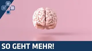 4 Tipps, die deine Gehirnleistung steigern werden!