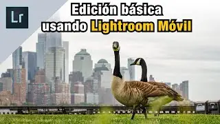 Cómo Editar una FOTOGRAFIA en el celular con Lightroom GRATIS - TUTORIAL las mejores apps