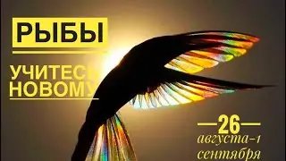 Рыбы ♓️ 26 августа-1 сентября 2024 года 🗝✨💐❤️💐🌈☀️Таро Ленорман прогноз предсказания